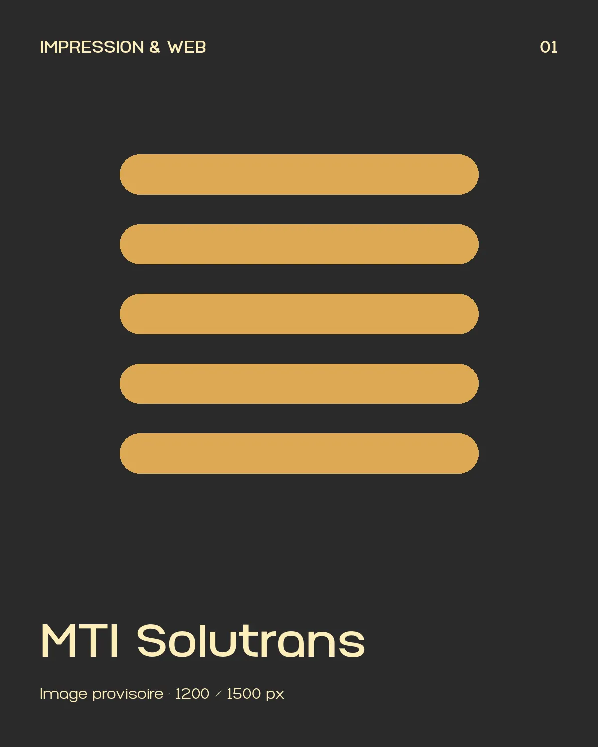 MTI Solutrans, supports imprimés